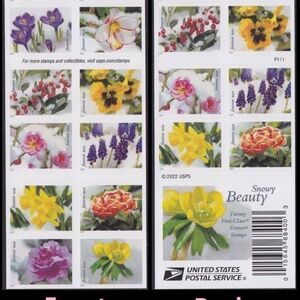 Snowy Beauty  booklet of 20) MNH 2022  #205664302004